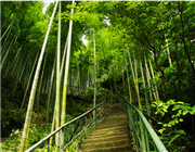 临安白水涧风景区