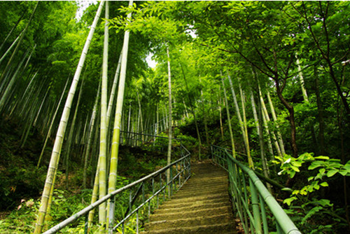 临安白水涧风景区